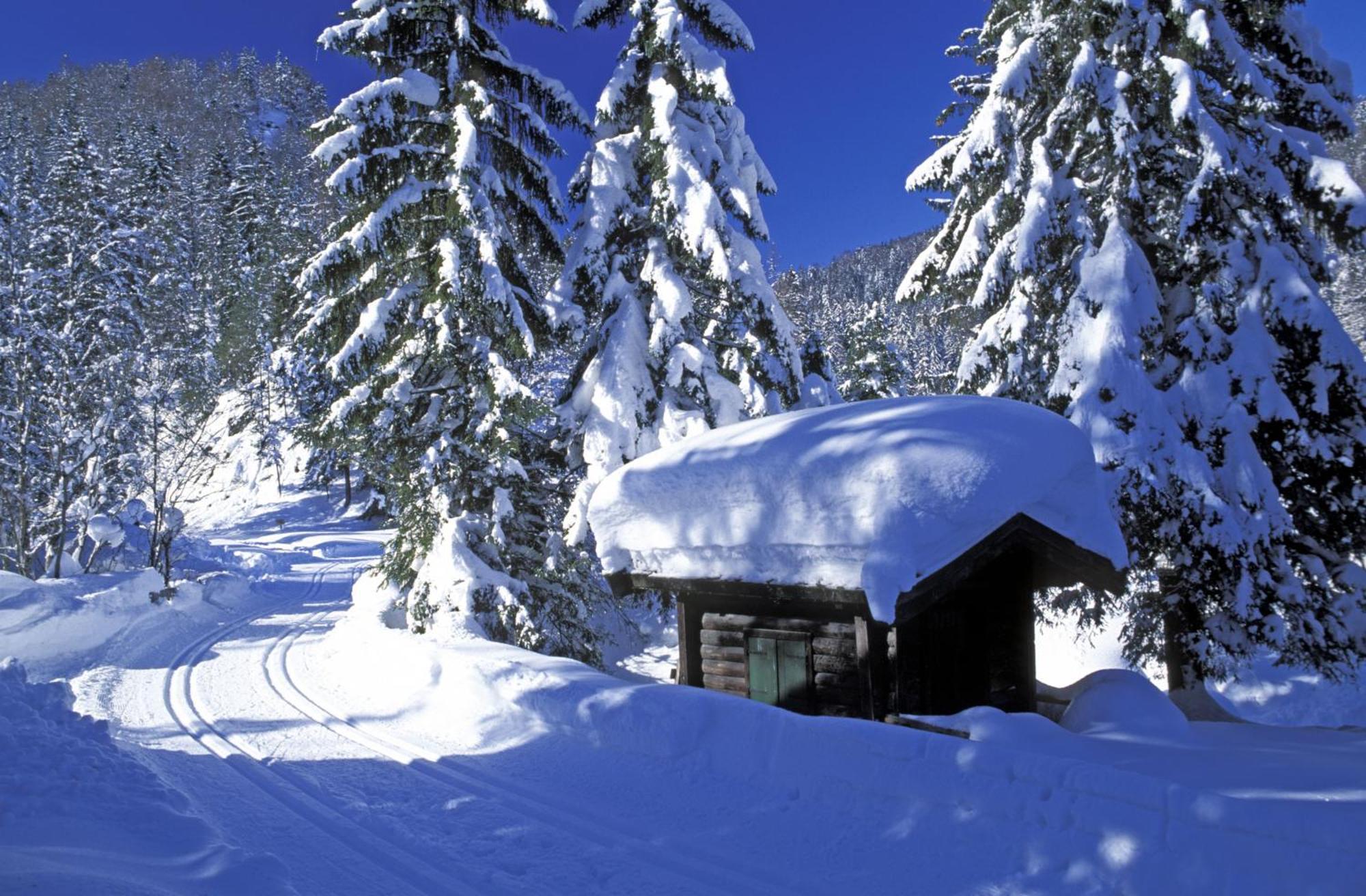 Landhaus Foidl Sankt Johann in Tirol Bagian luar foto